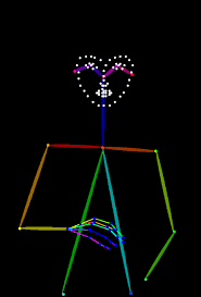 Test 5 Reference Pose